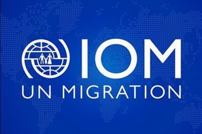 Международная организации по миграции